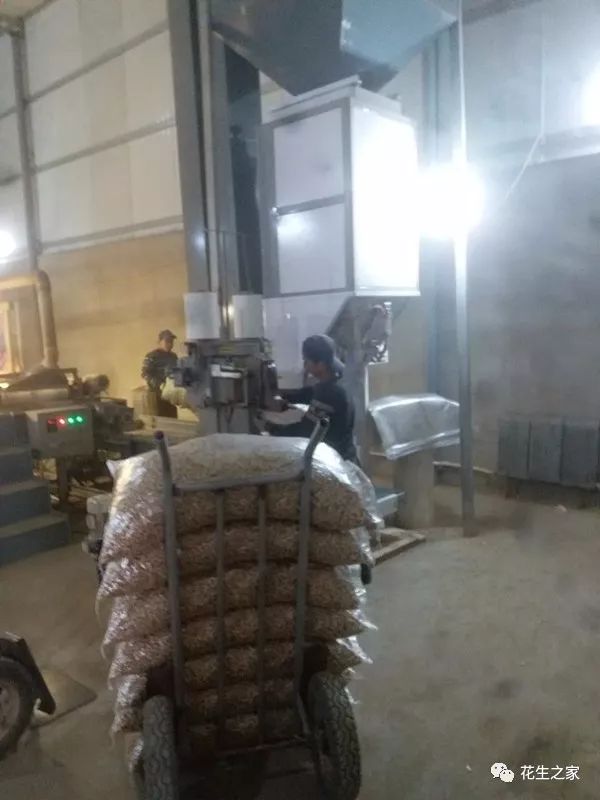 红崖子花生米最新价格动态分析