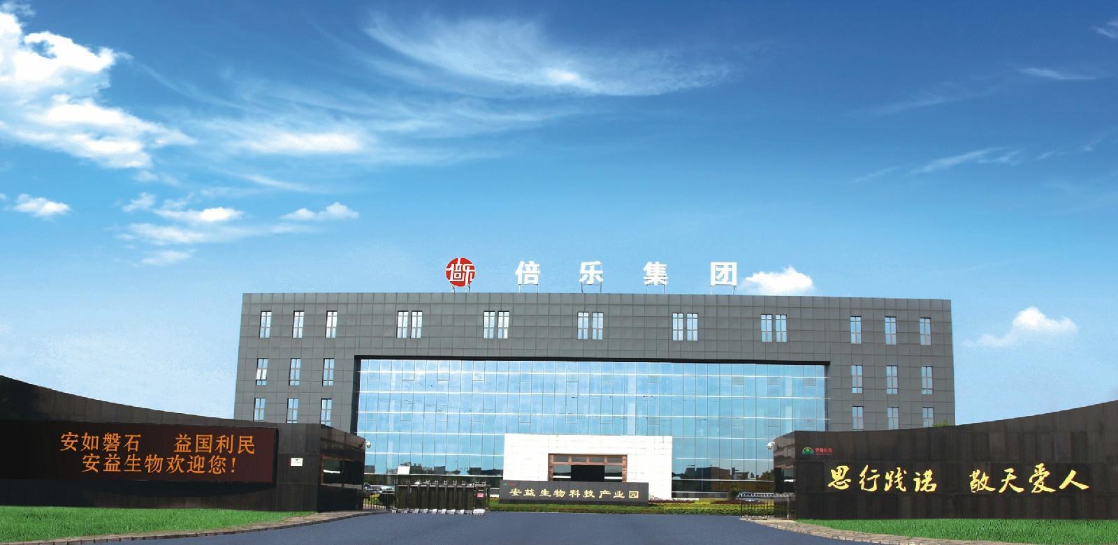 四川倍乐集团最新动态概览