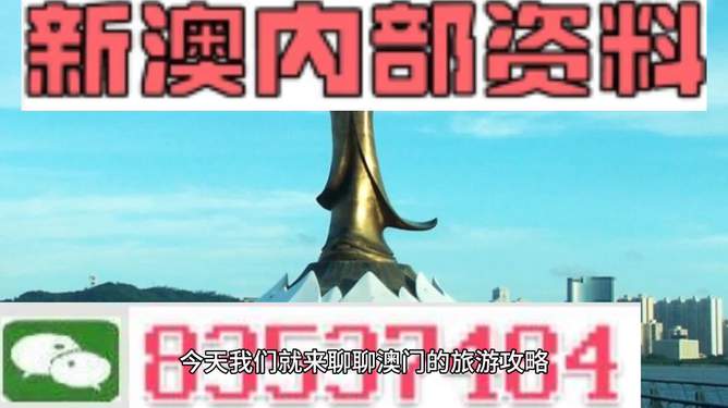 澳门最精准免费资料大全，专业精准版，精选解释解析落实