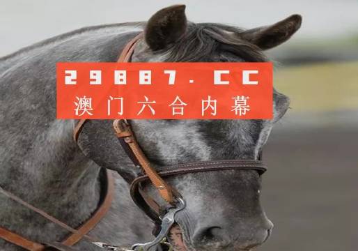 今晚澳门最准一肖一码，专业精准版，精选解释解析落实