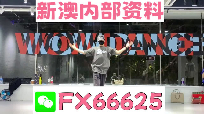 管家婆一码一肖100准，专业精准版，精选解释解析落实
