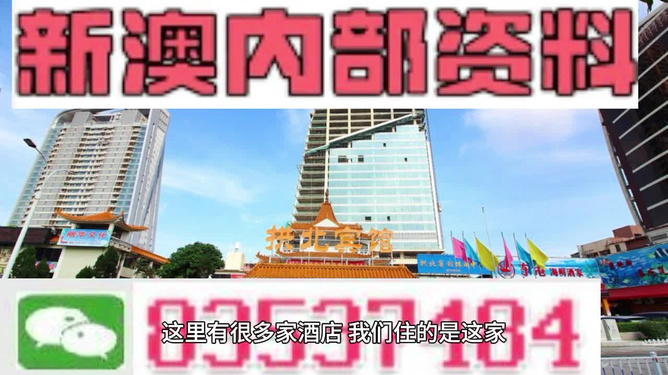 澳门正版免费资料精准大全，专业精准版，精选解释解析落实