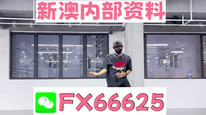 管家婆一码一肖一种大全，专业精准版，精选解释解析落实